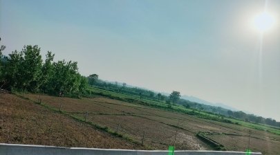 latest property