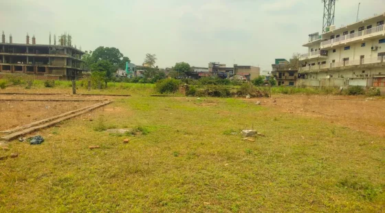 latest property