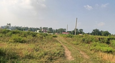 latest property
