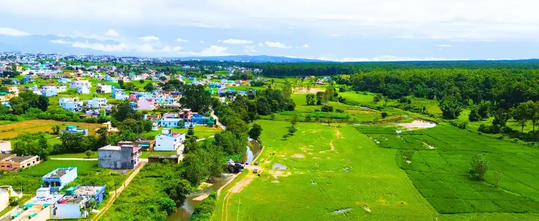 latest property